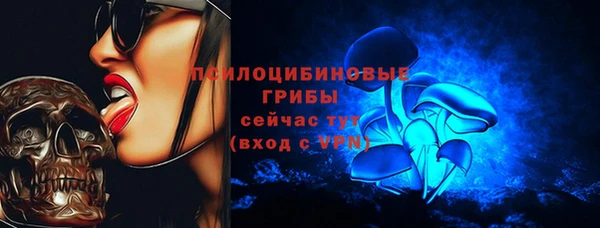 ешки Богданович