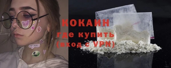 ешки Богданович