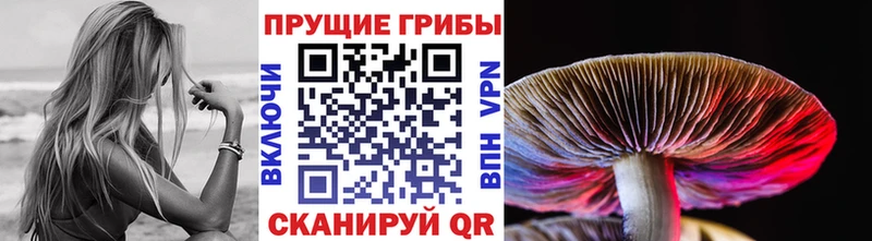 мега ССЫЛКА  это состав  Псилоцибиновые грибы мицелий  Липецк 