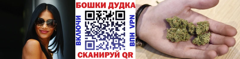 Каннабис SATIVA & INDICA  купить   Липецк 
